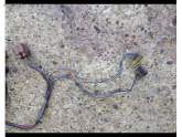Oto Çıkma Parça / Fiat / Tempra / Elektrik / Elektrik Tesisatı / Çıkma Parça 