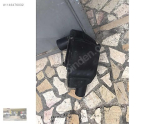 Oto Çıkma Parça / Chevrolet / Captiva / Filtre / Hava Filtresi Kutusu / Çıkma Parça 