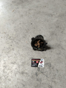 Oto Çıkma Parça / Daihatsu / Terios / Motor / Devirdaim / Çıkma Parça 