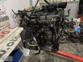 Oto Çıkma Parça / Volkswagen / Jetta / Motor / Motor (komple) / Çıkma Parça 