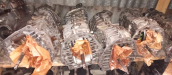 Oto Çıkma Parça / Mercedes / SLK / Şanzıman / Şanzıman Komple / Çıkma Parça 