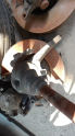 Oto Çıkma Parça / Peugeot / 407 / Alt Takım / Taşıyıcı / Çıkma Parça 