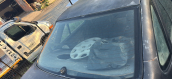 Fiat Tempra Arka Bagaj Camı