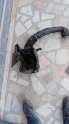 OEM; 7689450503 FORD C-MAX 1 ÇIKMA HAVA FİLTRE KUTUSU Dkn