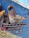 Oto Çıkma Parça / Ford / Escort / Fren / Fren Disk Ayna / Çıkma Parça 
