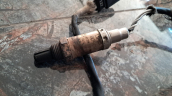 Oto Çıkma Parça / Volkswagen / Passat / Motor / Oksijen Sensörü / Çıkma Parça 