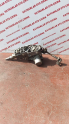 Oto Çıkma Parça / Renault / Megane / Direksiyon / Direksiyon Mili / Çıkma Parça 