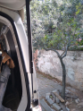 Transporter T5 Arka Kapı amortisör