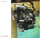 Oto Çıkma Parça / Audi / A7 / Motor / Motor (komple) / Sıfır Parça 