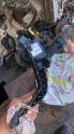 Oto Çıkma Parça / Peugeot / 2008 / Koltuk & Döşeme / Pedal / Çıkma Parça 