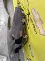 Oto Çıkma Parça / Opel / Vivaro / Kaporta & Karoser / Sağ Ön Çamurluk / Çıkma Parça 