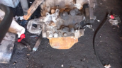 Oto Çıkma Parça / Fiat / Palio / Şanzıman / Şanzıman Komple / Çıkma Parça 