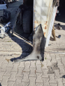 Oto Çıkma Parça / MG / HS / Kaporta & Karoser / Sağ Ön Çamurluk / Çıkma Parça 