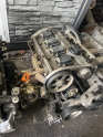 Oto Çıkma Parça / Volkswagen / Passat / Motor / Motor (komple) / Çıkma Parça 