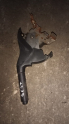 Oto Çıkma Parça / Hyundai / Getz / Fren / El Fren Tabancası / Çıkma Parça 