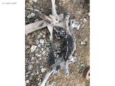 Oto Çıkma Parça / Peugeot / 407 / Alt Takım / Travers / Çıkma Parça 