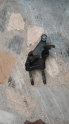 Mazda 6 2.0 motor braketi kulağı döküm Dkn