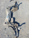 Oto Çıkma Parça / Renault / Scenic / Alt Takım / Viraj Demiri / Çıkma Parça 
