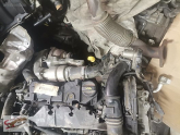 Oto Çıkma Parça / Ford / Focus / Motor / Motor (komple) / Çıkma Parça 