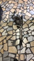 Oto Çıkma Parça / Peugeot / 3008 / Direksiyon / Direksiyon Kutusu / Çıkma Parça 
