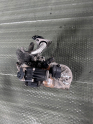 Oto Çıkma Parça / Fiat / Linea / Motor / EGR / Çıkma Parça 