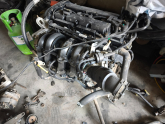 Oto Çıkma Parça / Ford / Fiesta / Motor / Motor (komple) / Çıkma Parça 