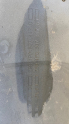 Oto Çıkma Parça / Seat / Leon / Tampon / Arka Tampon / Çıkma Parça 