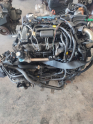 Oto Çıkma Parça / Ford / Focus / Motor / Motor (komple) / Çıkma Parça 