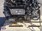 Oto Çıkma Parça / Ford / Mondeo / Motor / Motor (komple) / Çıkma Parça 