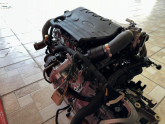 Oto Çıkma Parça / Ford / Focus / Motor / Motor (komple) / Çıkma Parça 