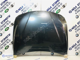 BMW 3 SERİSİ F30 KASA KAPUT ORJ ÇIKMA 12-18 41007290944