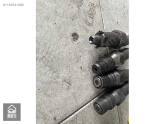 Oto Çıkma Parça / Renault / Kangoo / Motor / Enjektör / Çıkma Parça 