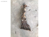 Oto Çıkma Parça / Ford / Focus / Egzoz / Partikül Filtresi / Çıkma Parça 