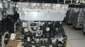 Oto Çıkma Parça / Nissan / Navara / Motor / Motor (komple) / Çıkma Parça 