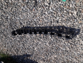 Oto Çıkma Parça / Renault / Kangoo / Tampon / Tampon Demiri / Çıkma Parça 