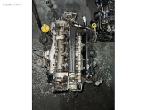 Oto Çıkma Parça / Fiat / Linea / Motor / Motor (komple) / Çıkma Parça 