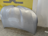 Oto Çıkma Parça / Renault / Megane / Kaporta & Karoser / Kaput / Çıkma Parça 