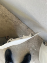 Oto Çıkma Parça / Volkswagen / Golf / Tampon / Arka Tampon / Çıkma Parça 