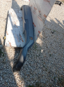 Oto Çıkma Parça / Hyundai / Tucson / Kaporta & Karoser / Spoiler / Çıkma Parça 
