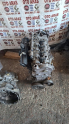 Oto Çıkma Parça / Fiat / Palio / Motor / Motor (komple) / Çıkma Parça 