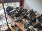 Oto Çıkma Parça / Toyota / Corolla / Elektrik / Marş Motoru / Çıkma Parça 