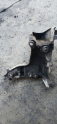 Oto Çıkma Parça / Citroen / Berlingo / Motor / Motor Kapağı / Çıkma Parça 