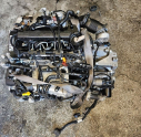 Oto Çıkma Parça / Volkswagen / Passat / Motor / Motor (komple) / Çıkma Parça 