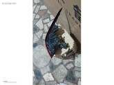 Oto Çıkma Parça / Chery / Omoda 5 / Far & Stop / Sağ Arka Stop / Çıkma Parça 