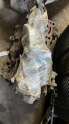 1.3 doblo tesisat