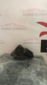 Oto Çıkma Parça / Mazda / 323 / Oto Cam / Silecek Motoru / Çıkma Parça 