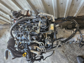Oto Çıkma Parça / Volkswagen / Amarok / Motor / Motor (komple) / Çıkma Parça 
