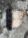 Oto Çıkma Parça / Renault / Scenic / Egzoz / Egzoz Manifoldu / Çıkma Parça 