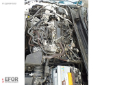 Oto Çıkma Parça / Toyota / Corolla / Motor / Motor (komple) / Çıkma Parça 