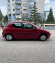 PEJO 206 HATASIZ KAPI